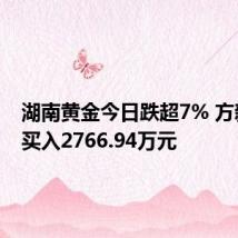 湖南黄金今日跌超7% 方新侠净买入2766.94万元