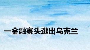 一金融寡头逃出乌克兰