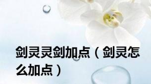 剑灵灵剑加点（剑灵怎么加点）