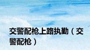 交警配枪上路执勤（交警配枪）