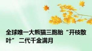全球唯一大熊猫三胞胎“开枝散叶” 二代千金满月