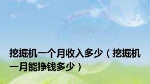 挖掘机一个月收入多少（挖掘机一月能挣钱多少）