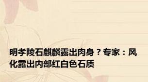 明孝陵石麒麟露出肉身？专家：风化露出内部红白色石质