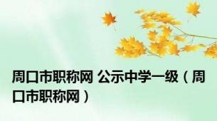 周口市职称网 公示中学一级（周口市职称网）