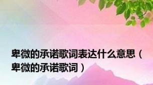 卑微的承诺歌词表达什么意思（卑微的承诺歌词）