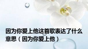 因为你爱上他这首歌表达了什么意思（因为你爱上他）