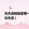 功夫汤姆猫是哪一集（功夫汤）