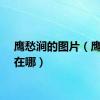 鹰愁涧的图片（鹰愁涧在哪）