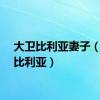 大卫比利亚妻子（大卫比利亚）