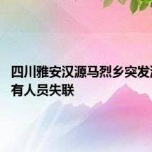 四川雅安汉源马烈乡突发泥石流 有人员失联