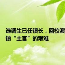 选调生已任镇长,回校演讲谈乡镇“主官”的艰难