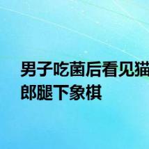 男子吃菌后看见猫跷二郎腿下象棋