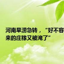 河南旱涝急转,“好不容易救回来的庄稼又被淹了”