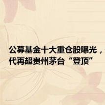 公募基金十大重仓股曝光,宁德时代再超贵州茅台“登顶”