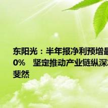 东阳光:半年报净利预增最高超300% 坚定推动产业链纵深发展成绩斐然