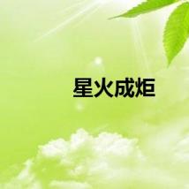 星火成炬