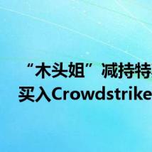 “木头姐”减持特斯拉 买入Crowdstrike