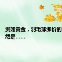 贵如黄金，羽毛球涨价的原因竟然是……