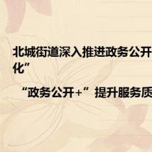 北城街道深入推进政务公开“智慧化” | “政务公开+”提升服务质效