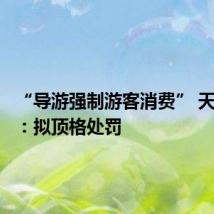 “导游强制游客消费” 天津文旅:拟顶格处罚