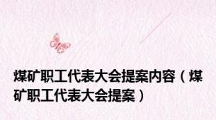 煤矿职工代表大会提案内容（煤矿职工代表大会提案）