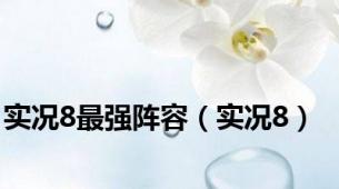 实况8最强阵容（实况8）