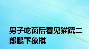 男子吃菌后看见猫跷二郎腿下象棋