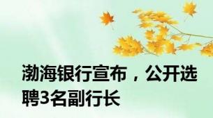 渤海银行宣布，公开选聘3名副行长