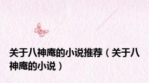 关于八神庵的小说推荐（关于八神庵的小说）