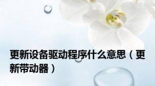 更新设备驱动程序什么意思（更新带动器）