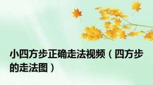 小四方步正确走法视频（四方步的走法图）