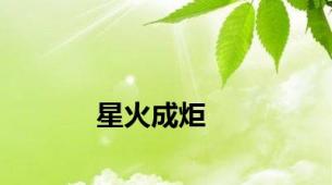 星火成炬