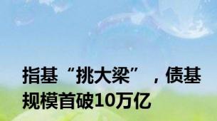 指基“挑大梁”，债基规模首破10万亿