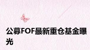 公募FOF最新重仓基金曝光