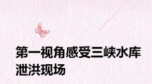 第一视角感受三峡水库泄洪现场