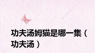 功夫汤姆猫是哪一集（功夫汤）