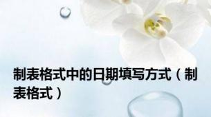 制表格式中的日期填写方式（制表格式）