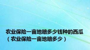 农业保险一亩地赔多少钱种的西瓜（农业保险一亩地赔多少）