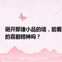 砸开那堵小品的墙,能看到真正的喜剧精神吗?