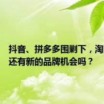 抖音、拼多多围剿下,淘系电商还有新的品牌机会吗?