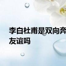 李白杜甫是双向奔赴的友谊吗