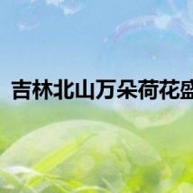 吉林北山万朵荷花盛放