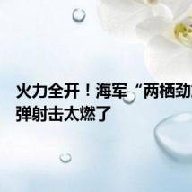 火力全开!海军“两栖劲旅”实弹射击太燃了
