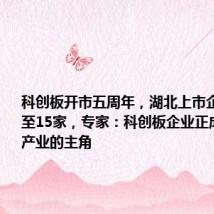 科创板开市五周年,湖北上市企业数跃升至15家,专家:科创板企业正成为新兴产业的主角