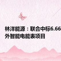 林洋能源:联合中标6.66亿元海外智能电能表项目