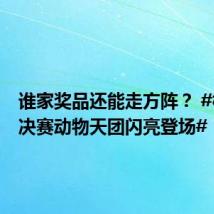 谁家奖品还能走方阵？ #村超总决赛动物天团闪亮登场# ！