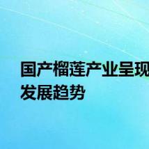国产榴莲产业呈现提速发展趋势