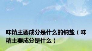 味精主要成分是什么的钠盐（味精主要成分是什么）