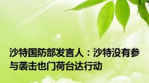 沙特国防部发言人：沙特没有参与袭击也门荷台达行动