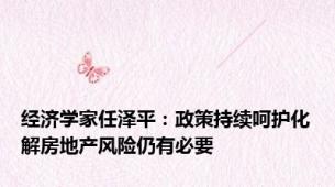 经济学家任泽平：政策持续呵护化解房地产风险仍有必要